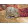 Colette Indoor Rug
