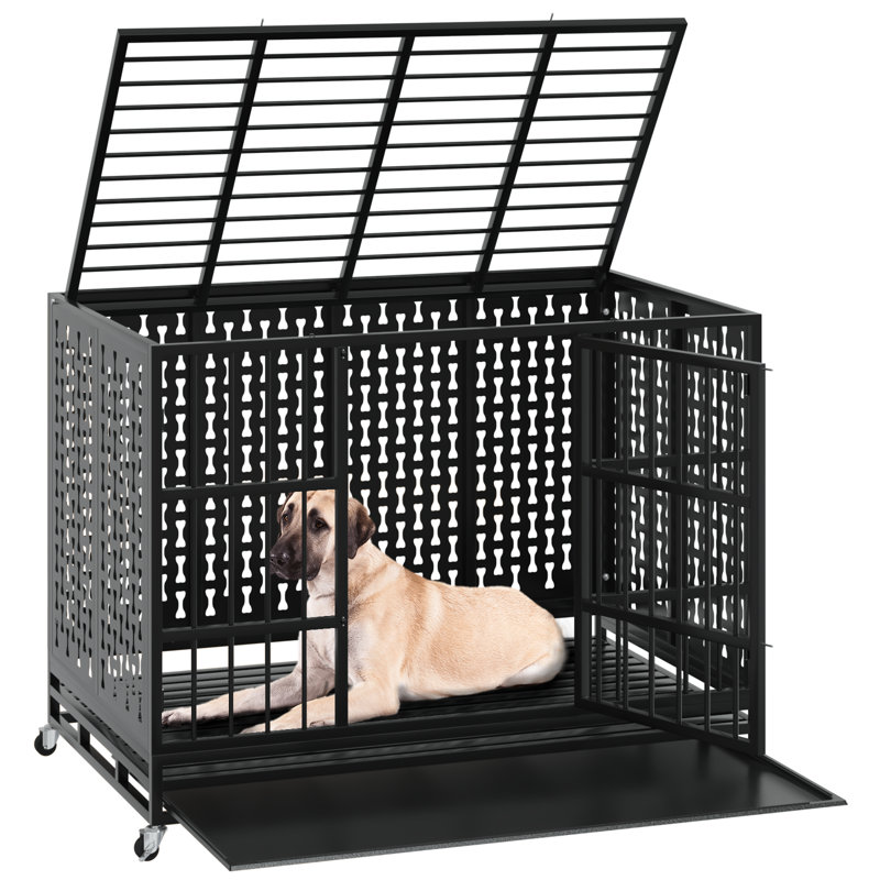 Cage pour chien indestructible, H 30,5 po x l 37,4 po x P 25,6 po