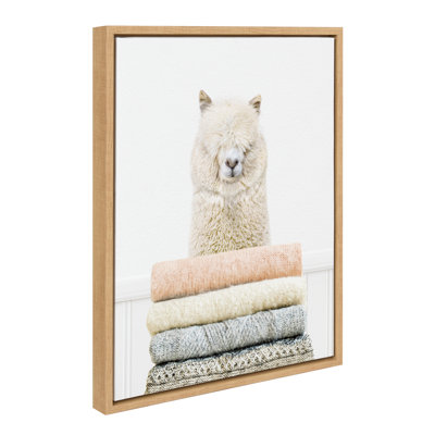 Fold Alpaca by Amy Peterson Framed Canvas Wall Art Print