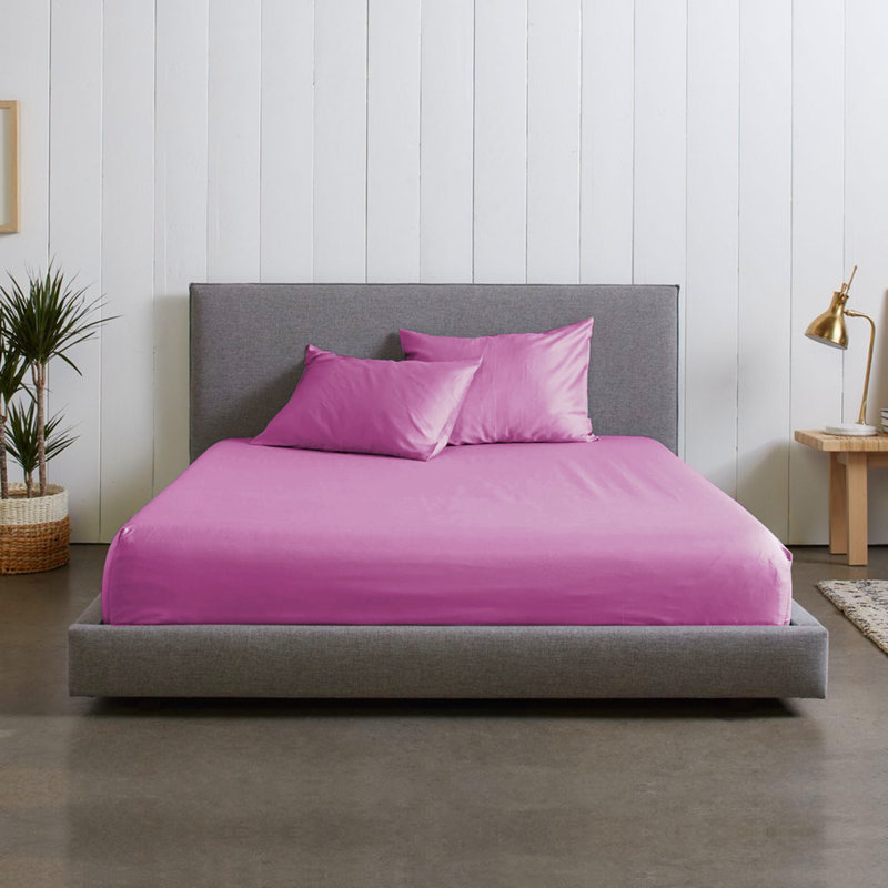 Microfiber Brushed Fitted Sheet, Kingsize (5'), Lilac/Purple
