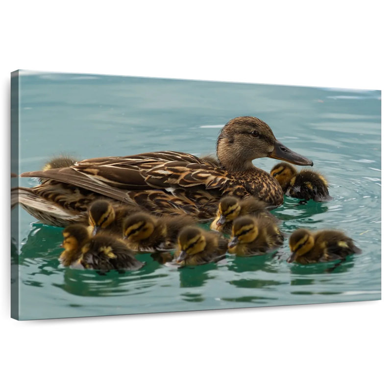 Brampt Duck Family Huddle, 16" H x 24" W