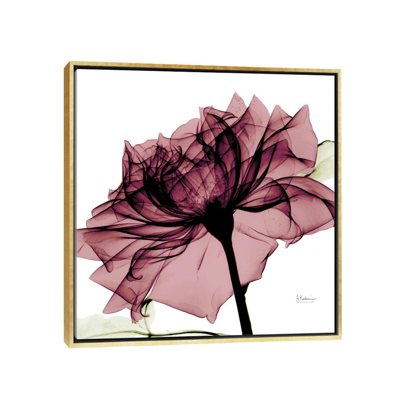 « chianti rose i », impression sur toile, H 12 po x l 12 po x P 1,5 po, Toile avec cadre doré, Pas de tapis