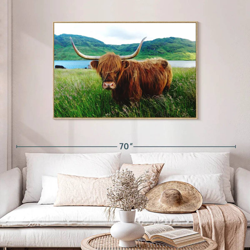 Vache Highland, Cadre flottant en bois naturel, 46 po x 31 po