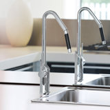 Mira Pull Out Single Handle Kitchen Faucet with Accessories