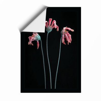 Wilted Blooms Botanical - Framed Print