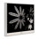Fougères et feuilles sur giclée noire encadrée, design par Phillipa Katz