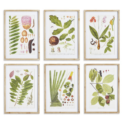 Violeta Leaf Botanical - ensemble de 6 peintures encadrées