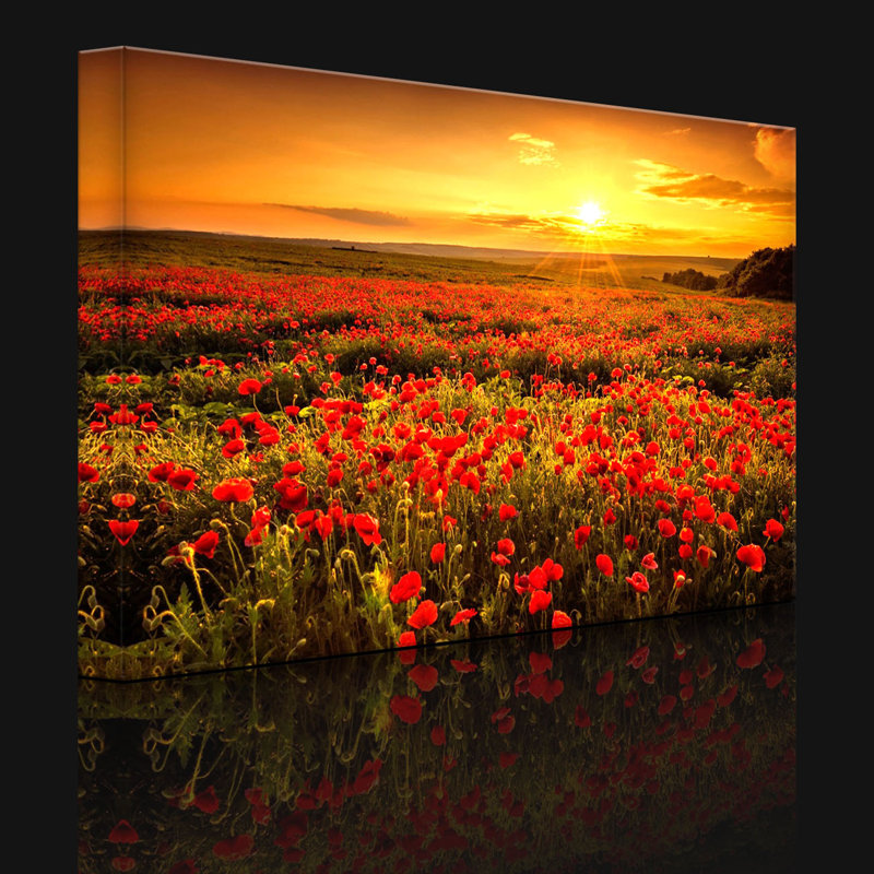 Poppy Flower Field At A Dreamlike Sunset by No - Wrapped Canvas Print, 60cm H x 80cm W x 4.5cm D, With lighting