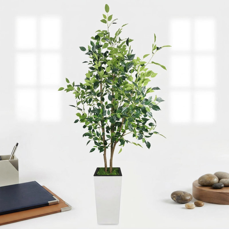 Plant, 180cm H x 23cm W x 23cm D