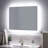 Fleming Lighted Bathroom Vanity Mirror with Tunable LED-70886690