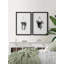 Grecco Hanging Basket Plants - Ensemble de 2 reproductions de dessins encadrés sur papier-656981647