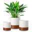 FLHPOT Ceramic Pot Planter-219634315