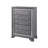 Contemporary Style Chest