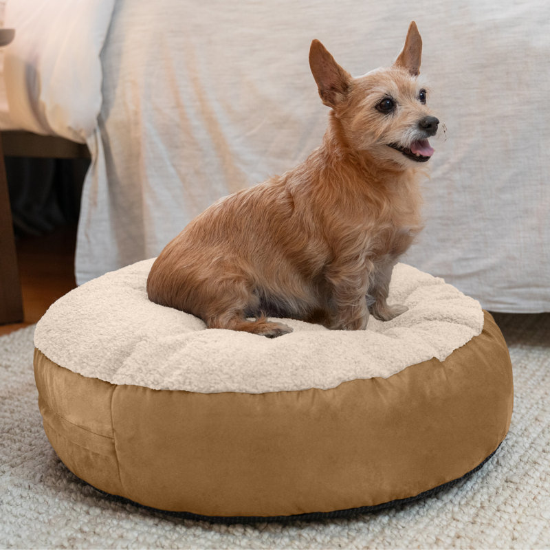 Lit pour chien Robbi rond pour petits, moyens et grands chiens, Petit (H 9 po x l 23 po x P 23 po), Nuage / beige