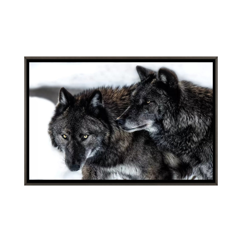« Brothers » par David Gardiner, reproduction de photo, H 18 po x l 26 po x P 1,5 po, Toile encadrée de bois rustique foncé