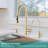 Kitchen Sink Water Purifier Faucet With Soap Dispenser-93631364