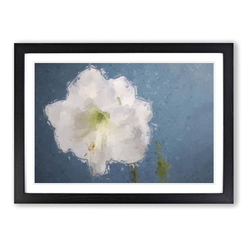 White Amaryllis Flower in Abstract - Picture Frame Graphic Art Print, Black, 35cm H x 50cm W x 2cm D