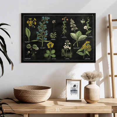 Tableau botanique Harnek I noir et blanc