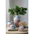 Terracotta Amphora Vase with Distressed White and Natural Tan Finish