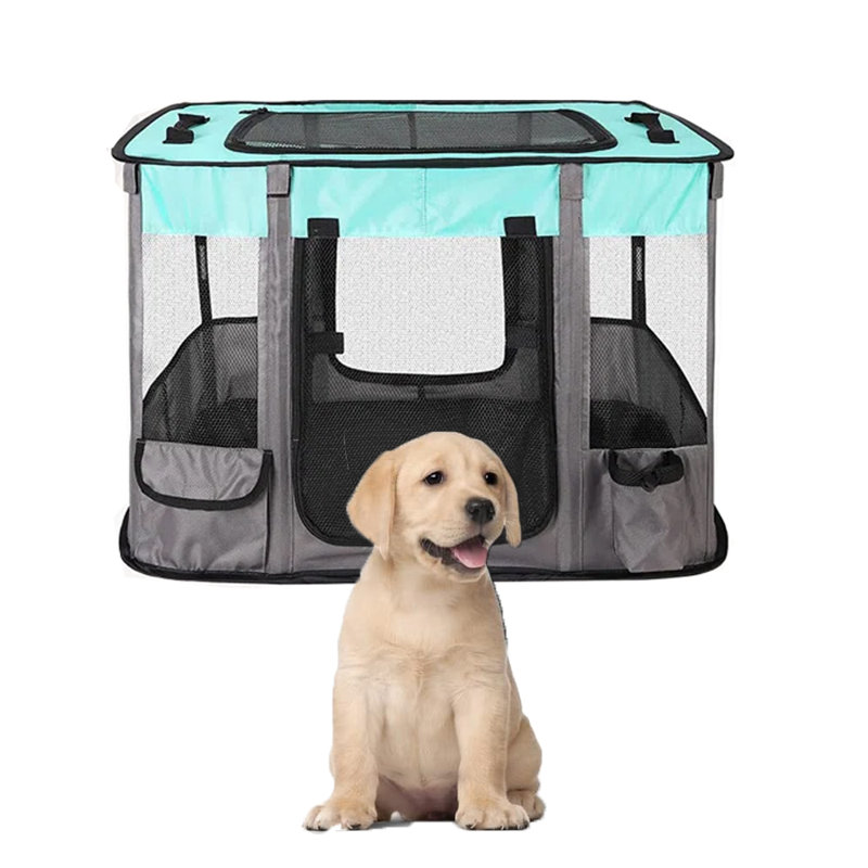 Cage portable pour animaux pliable, Grand (H 23,6 po x l 34 po x P 43,3 po), Noir/vert