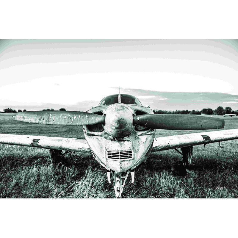" Last Flight II " by Donnie Quillen, 8" H x 12" W, No, Wrapped Canvas