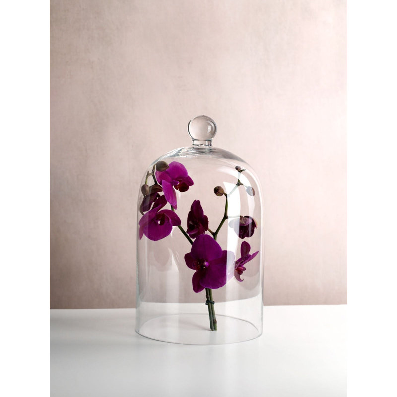 Glass Cloche, 30cm H x 18cm W x 18cm D
