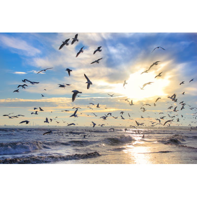 Birds in the Sky - Photographie sur toile tendue