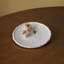 Vida Melamine Dinner Plate