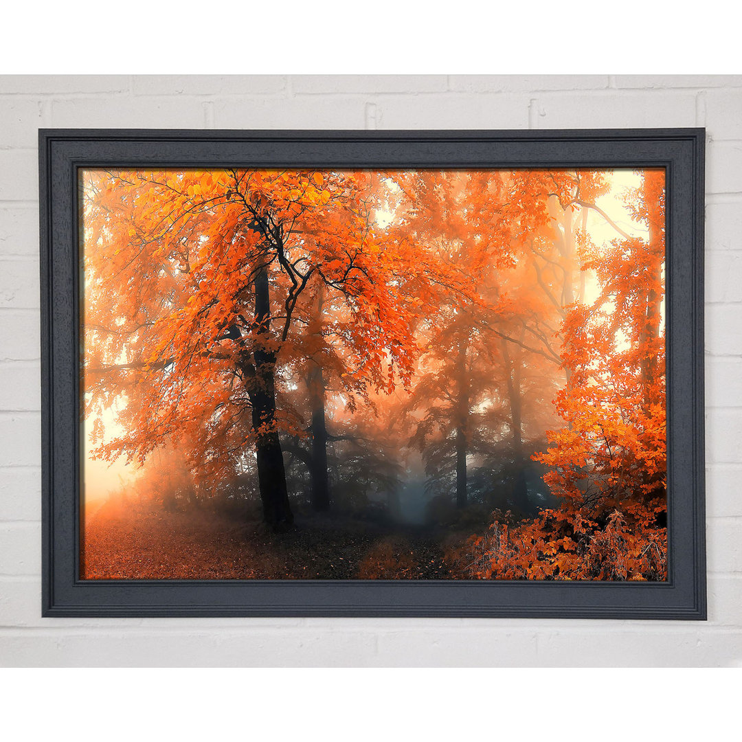 Herbst Orange Mist - Einzelner Bilderrahmen Kunstdrucke