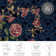 Flomi Florence Oriental Area Rug