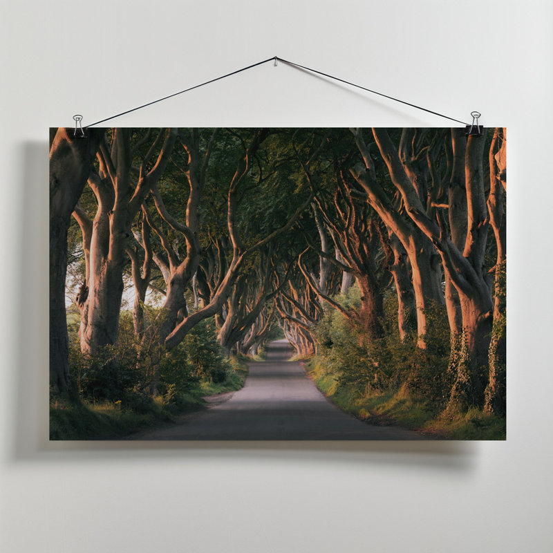Wrapped Canvas Print, 60.96cm H x 91.44cm W