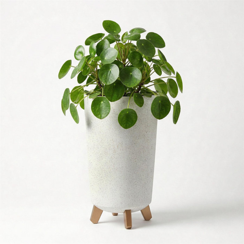 Pot Planter