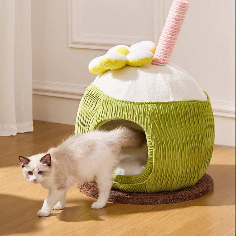 Arbre à chat 1 niveaux avec condons