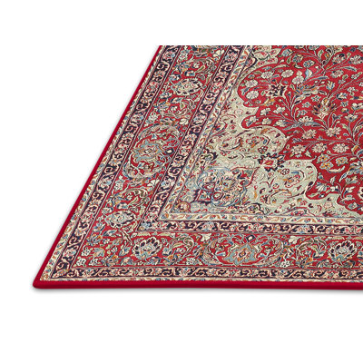 Raglen Oriental Indoor Rug