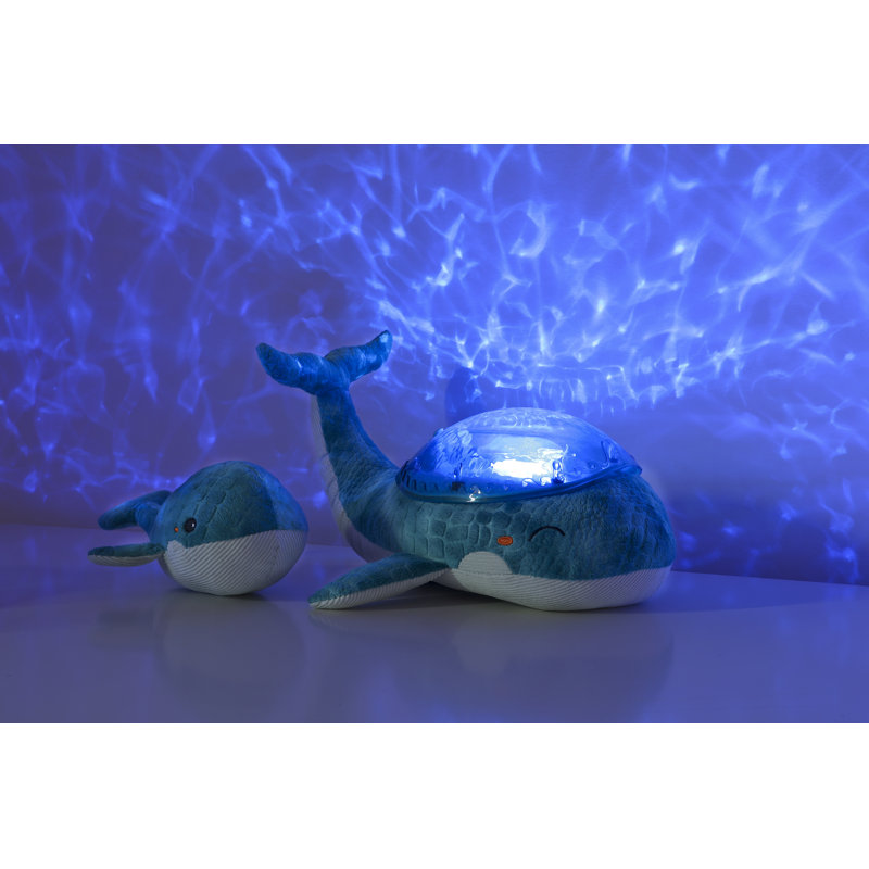 Tranquil Whale Family