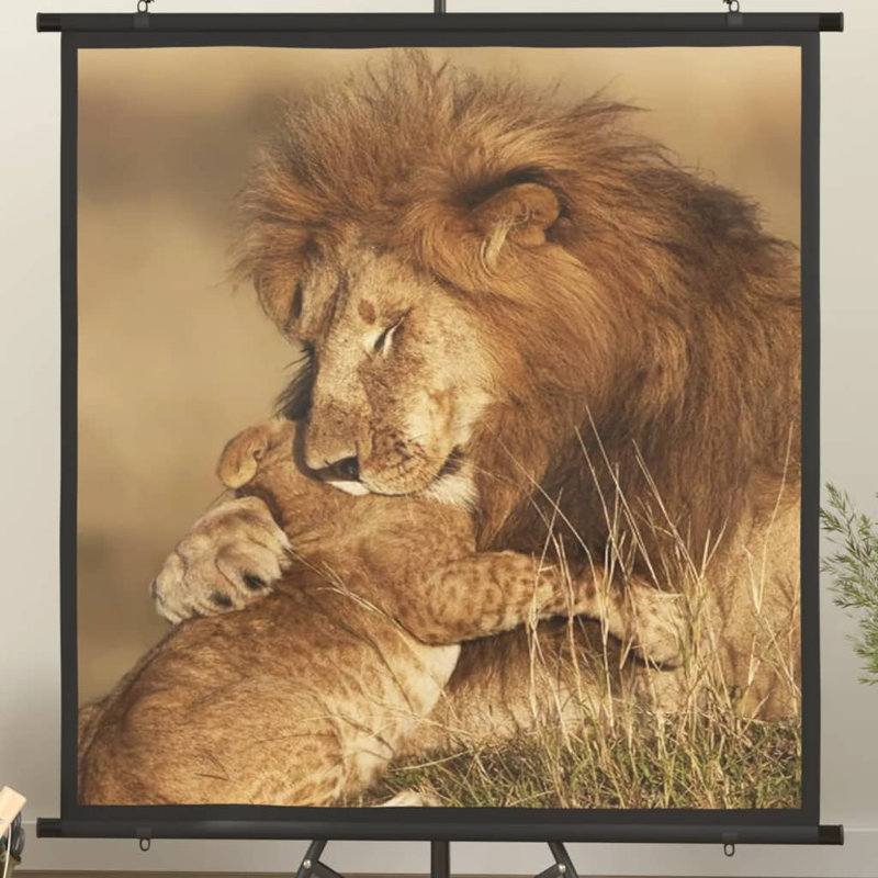 Artun White Manual Projection Screen, 130cm H x 125cm W, Square/AV (1:1)