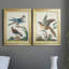 «Pastel Birds III», ensemble de 2 peintures sur toile encadrées-208302844-208302832