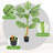 47" Faux Eucalyptus Plant in Planter