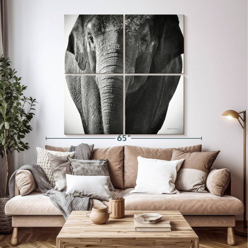 Brampt Elephant BW III