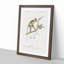 Grivet Monkey PL. 6 by Charles D'Orbigny - Picture Frame Painting Print-55608946-55608951
