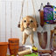 Polyresin Animals Wall Decor-36862100