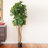 72'' Faux Fiddle Leaf Fig Tree in Planter