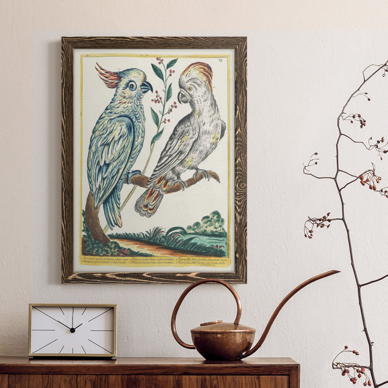 " Pastel Birds I " Painting Print, Walnut Framed, 28" H x 38" W x 1" D