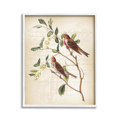 Birds with Vintage Cursive Framed Giclee Art by Lula Bijoux & co.