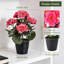 Pot de fleur de bégonia artificiel 1pc-372847817
