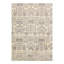 Oriental Area Rug in Gray