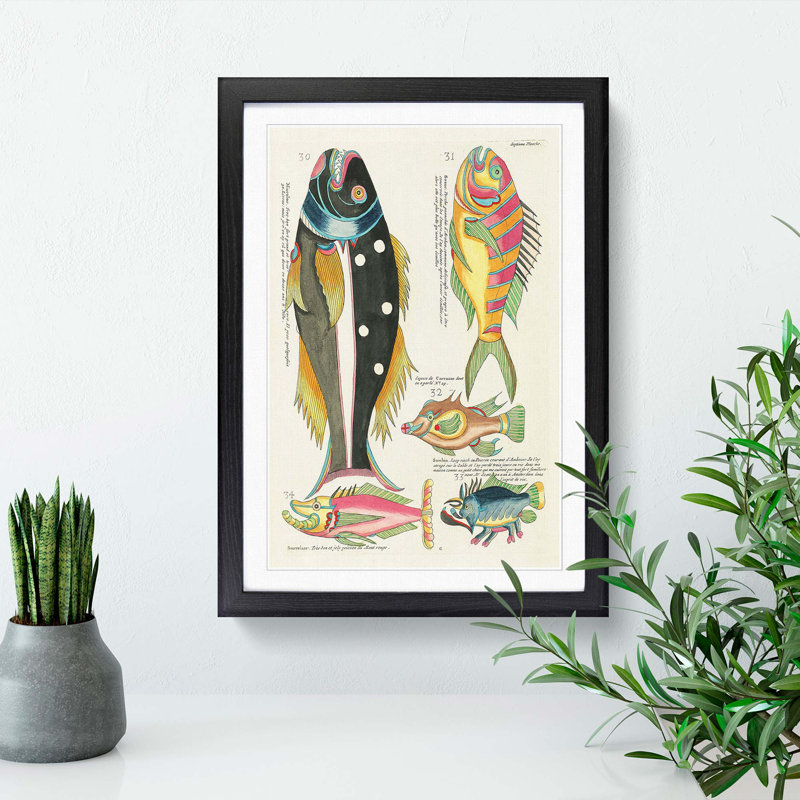 East Indies Fish Illustrations Septieme by Louis Renard - Picture Frame Graphic Art Print, 65cm H x 48cm W x 2cm D