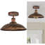 1 - Light Rustic Red Bowl Pendant
