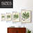 Collected Ferns III Framed Print - Solid Wood