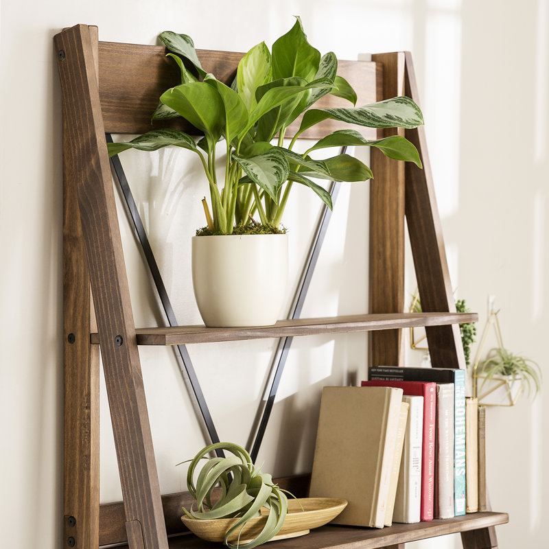 Perseus 79cm W Ladder Bookcase, Brown